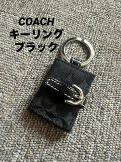 COACH シグネチャー キーホルダー フォトフレーム - メルカリ
