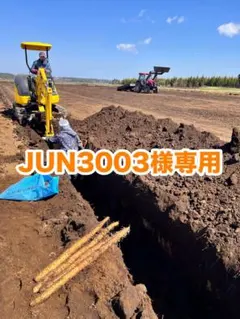 JUN3003様専用 A品12キロ