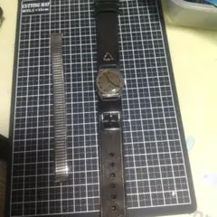 Item thumbnail for item e11feb9c-81fa-48eb-80a3-d19e8b85bab2