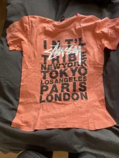 stussy 都市Tシャツ オレンジ