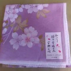 Item thumbnail for item f71ed32f-4a3b-401e-ae31-729c2aef316d