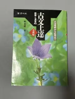 Item thumbnail for item 76df39fb-0b8e-4866-88b3-57afae0ebeff