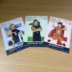ハイキュー!! アニメイト特典ポストカード