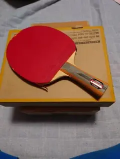 美品　TSP（VICTAS）GAIAⅡ