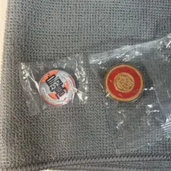 ♡ 烏野高校 音駒高校 ピンバッジセット ♡