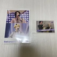 Sakurashimeji エビライ ポストカード JUNON イケメントランプ