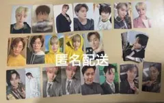 SEVENTEEN トレカ まとめ売り ディノ