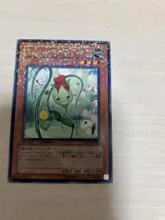 遊戯王　ナチュルローズウィップ