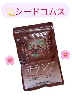 Item thumbnail for item 75f1325b-0c9f-4af0-8ef1-1a05fef27f03