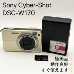 【極美品】SONY Cyber-shot DSC-W170 Amazon | SONY デジタルカメラ Cyber-Shot(サイバーショット) W170