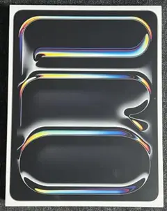 Apple iPad Pro M4 13インチ Wi-Fiモデル 2TB