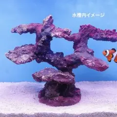 ❖新品アク抜き不要 人工ライブロック 45cm海水水槽用 レプリカ 多孔質安い6 2025年最新】ライブロックレプリカの人気アイテム - メルカリ