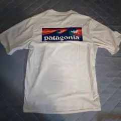 patagonia キャプリーン　Tシャツ XS