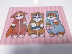 新品未使用品 モフサンド クリアファイル 特典 mofusand ねこ ぢゅの