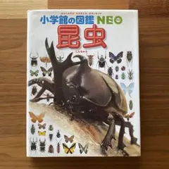 小学館の図鑑NEO 昆虫