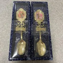 新品 東京ディズニーリゾート 30周年 スプーン 2本セット