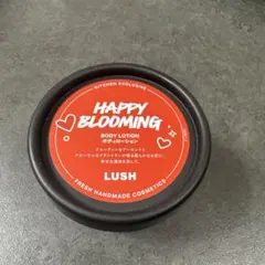 LUSH ボディローション100gのサムネイル