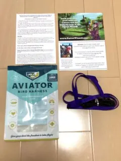 Item thumbnail for item aab2b9c9-36c8-4ca4-8f89-359de28beec0