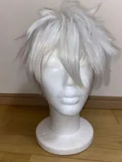 *にじさんじ/イブラヒム 風ウィッグ* にじさんじ イブラヒム 風 ウィッグ - メルカリ