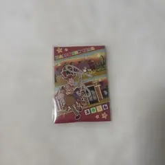 【非売品】トイストーリー ウッディ2026 メダル
