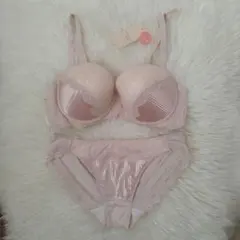 トリンプ ふわ盛り クラシカルプリーツ　D75 L セット　517