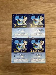 【未使用・有効期限切れ】30周年記念ディズニーリゾートライン2DAYPASS ディズニーリゾートライン フリー切符 30周年、バケーション