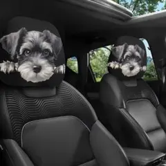 Item thumbnail for item 96816f5b-689e-4a0f-acf0-a5d4957b3bc8