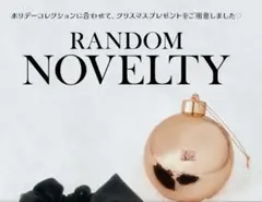 ダーリッチ ノベルティ オーナメントボール2個