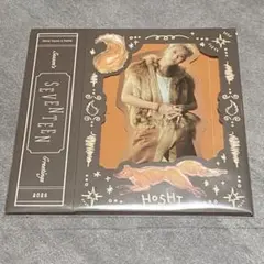 SEVENTEEN POP-UP CARD 新品・未開封 ホシ