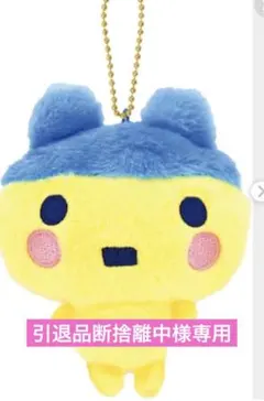 引退品断捨離中様専用