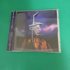 b868 筋肉少女帯／ステーシーの美術