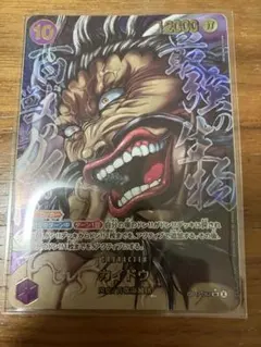 ワンピースカード カイドウ OP17-062 SR パラレル 刃牙 - メルカリ
