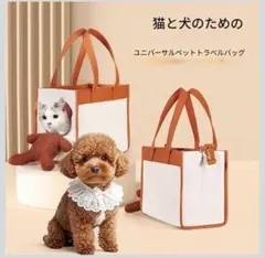 かわいいお出掛け大容量バッグ 頭出しクマ ぬいぐるみ 猫バッグ ショルダーバッグのサムネイル