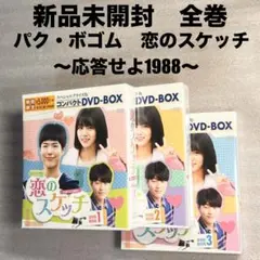 恋のスケッチ 応答せよ1988 DVD 韓国ドラマ パク・ボゴム 全10枚セット