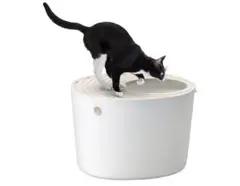 Item thumbnail for item 382aeaf4-9f9d-4e23-8ee3-2d916a2cb45c