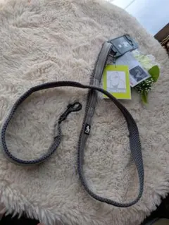 Truelove Ｓサイズ 小型犬中型犬リード夜間反射ソフトワンタッチグレーのサムネイル