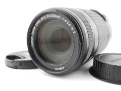 2026年最新】EF-S 55-250mmの人気アイテム - メルカリ
