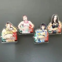 スターダム スポーツ選手