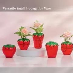 R（プロフ必読☆ハイブラ、セレクト中心）様 リクエスト 2点 まとめ商品