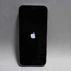 iPhone 5s Space Gray 16 GB docomo