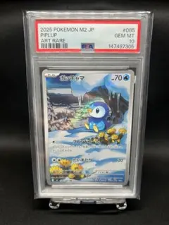 2026年最新】ポッチャマ psa10の人気アイテム - メルカリ
