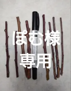 ぽむ様専用　穂木