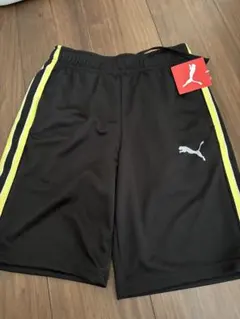 Item thumbnail for item c4d05277-b988-427a-921c-f59a97b7d33c