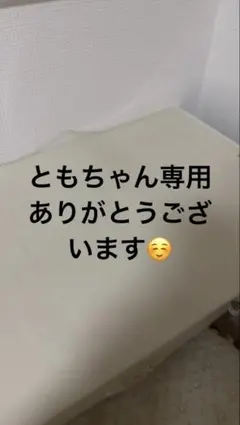 机　ともちゃん専用になります！