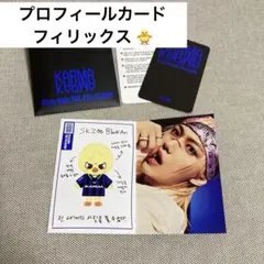 straykids KARMA SKZOO盤 プロフィールカード フィリックス