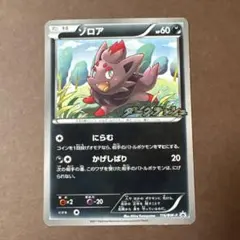 2026年最新】ポケモンカード ゾロア 116/BW-P プロモの人気アイテム