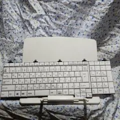 Item thumbnail for item 2a8504c0-230e-46d4-b155-34655cb1ad64