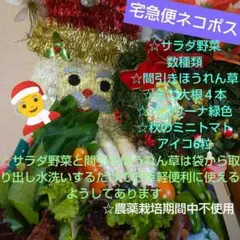 ☆サラダ野菜他☆新鮮お野菜詰め合わせ☆ネコポスいっぱい