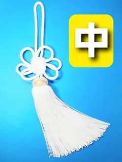 Item thumbnail for item ddbd1705-4654-4974-b2ca-a3bf15ad8a0a