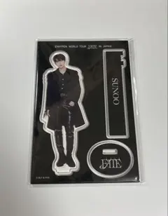 ENHYPEN FATE ソヌ　アクスタ